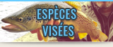 Especes visees en patagonie