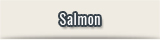 Fishing salmon patagonia