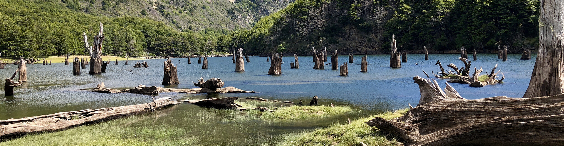 Price fishing patagonia