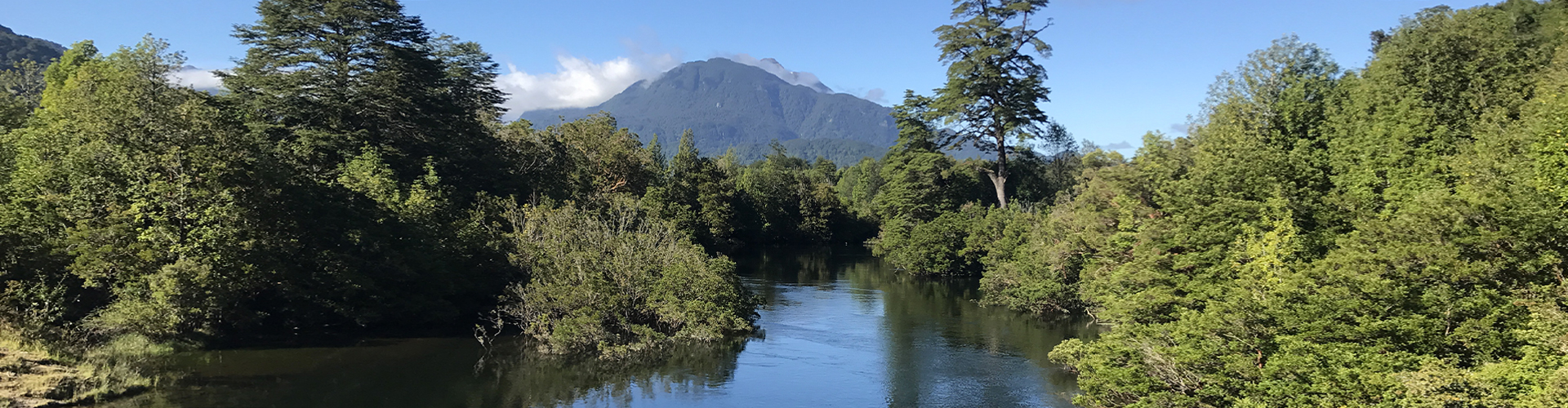 Rate fishing patagonia