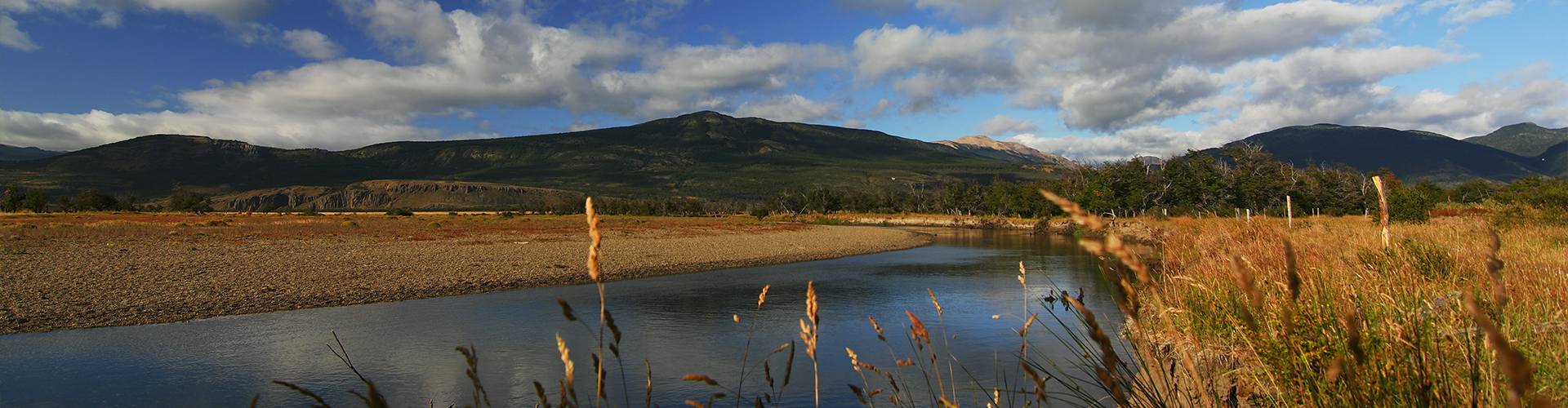 Rate fishing patagonia