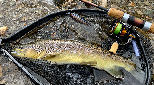 Peche truite patagonie