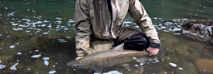 Fishing salmon patagonia