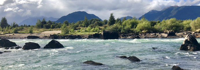 Fishing patagonia